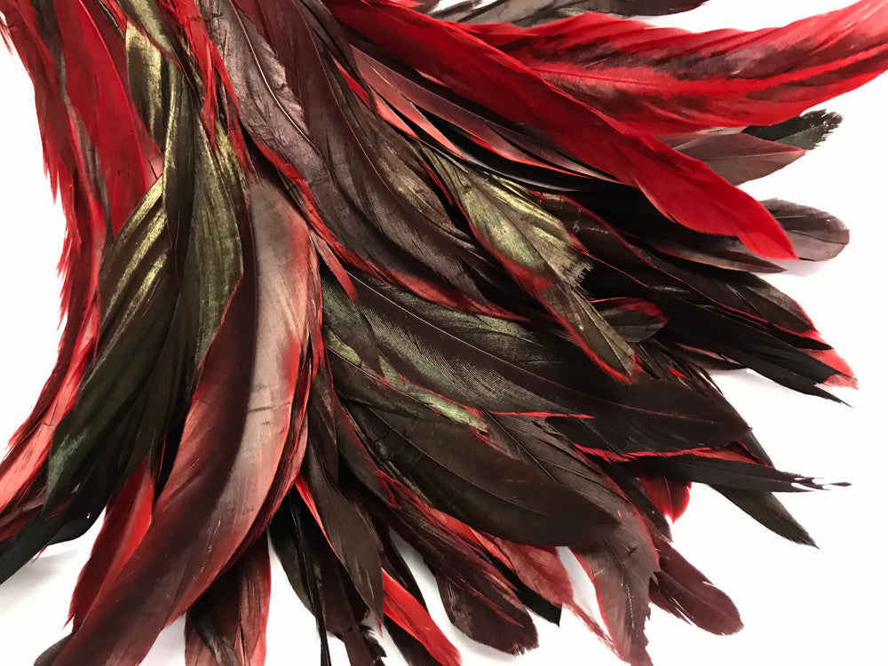 1 Yard - 10-12" Red Dyed Over Natural Coque Tails Long Feather Trim (Bulk)