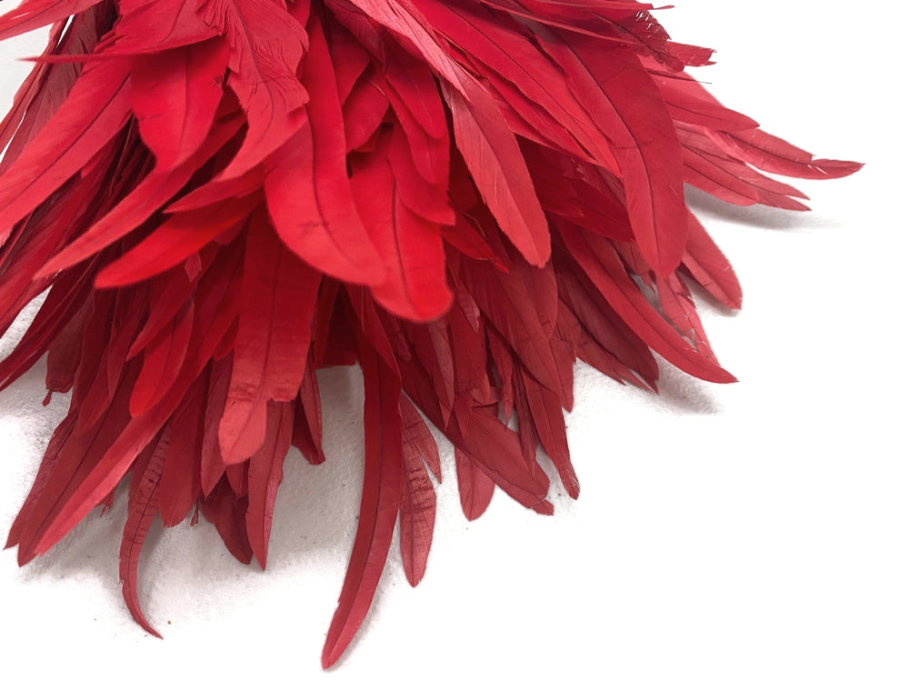 2.5  Inch Strip -  8-10" Red Strung Natural Bleach & Dyed Coque Tails Feathers