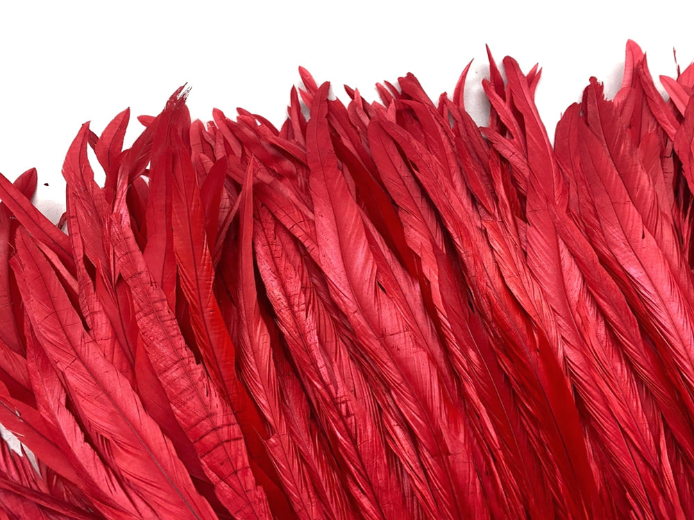 2.5  Inch Strip -  8-10" Red Strung Natural Bleach & Dyed Coque Tails Feathers