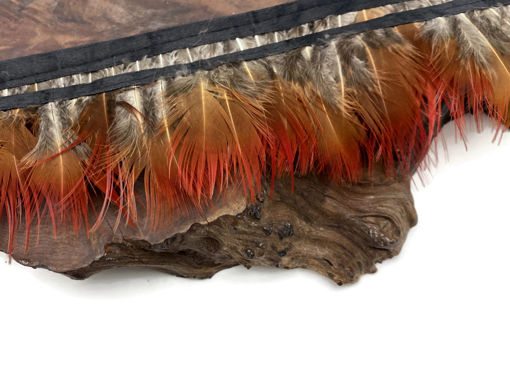 1 Yard - Natural Red Golden Pheasant Plumage Feather Trim