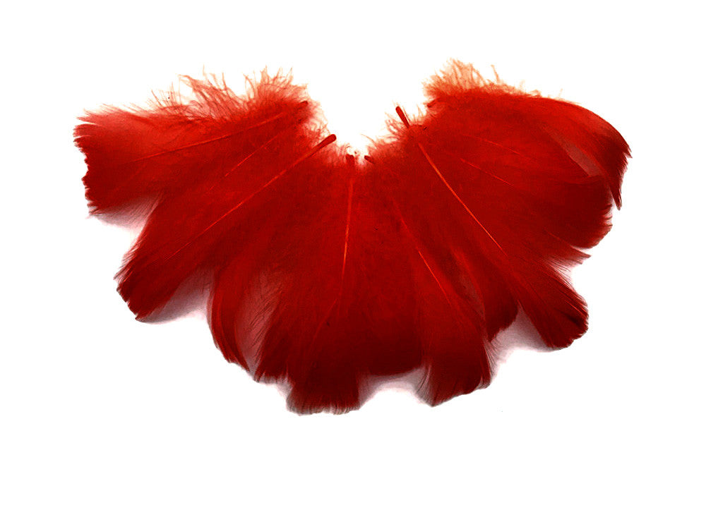 1/4 Lb - 2-3" Red Goose Coquille Loose Wholesale Feathers (Bulk)