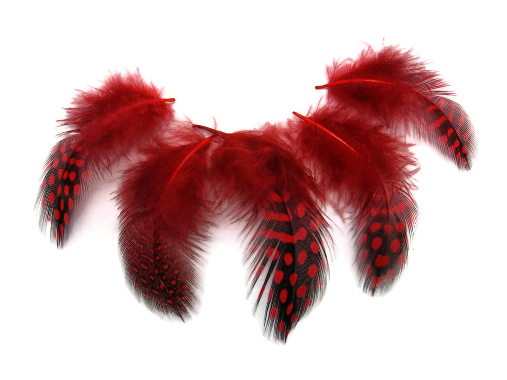 1 Pack - Red Guinea Hen Polka Dot Plumage Feathers 0.10 Oz.