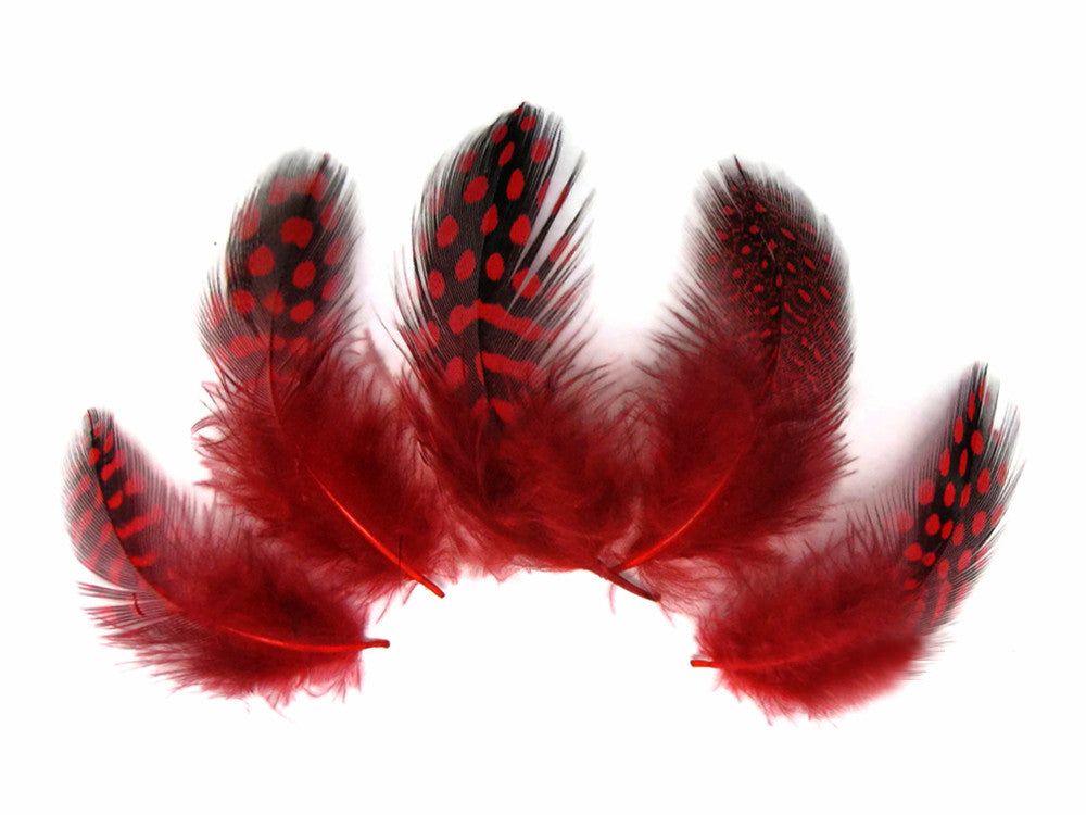 1 Pack - Red Guinea Hen Polka Dot Plumage Feathers 0.10 Oz.