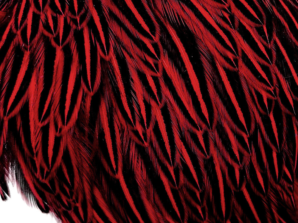 10 Pieces - Red Jungle Cock Loose Plumage Feather