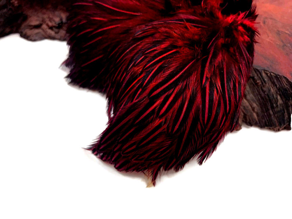 10 Pieces - Red Jungle Cock Loose Plumage Feather