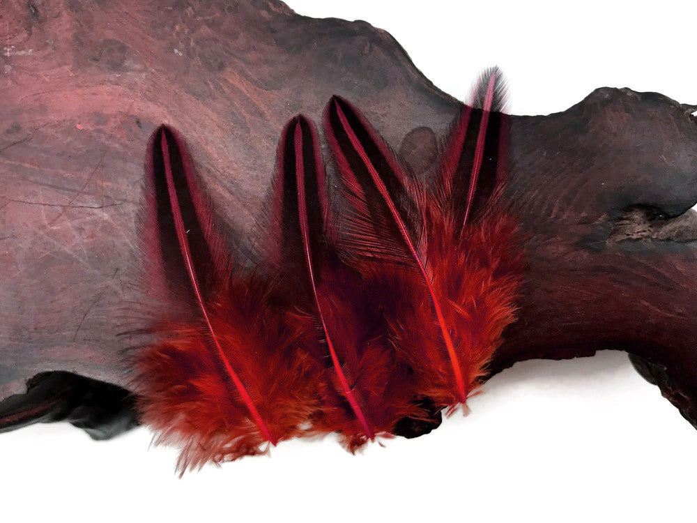 10 Pieces - Red Jungle Cock Loose Plumage Feather