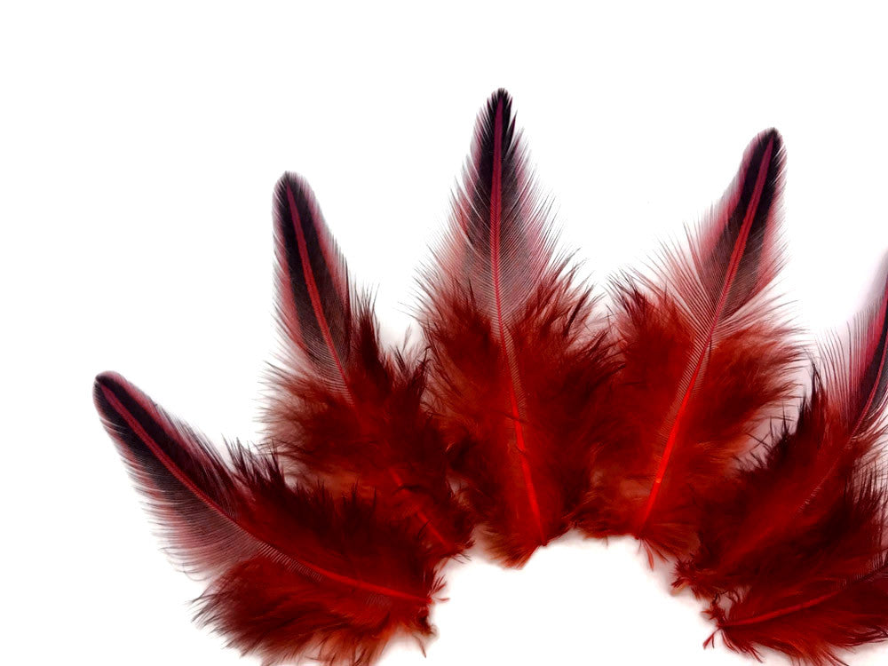 10 Pieces - Red Jungle Cock Loose Plumage Feather