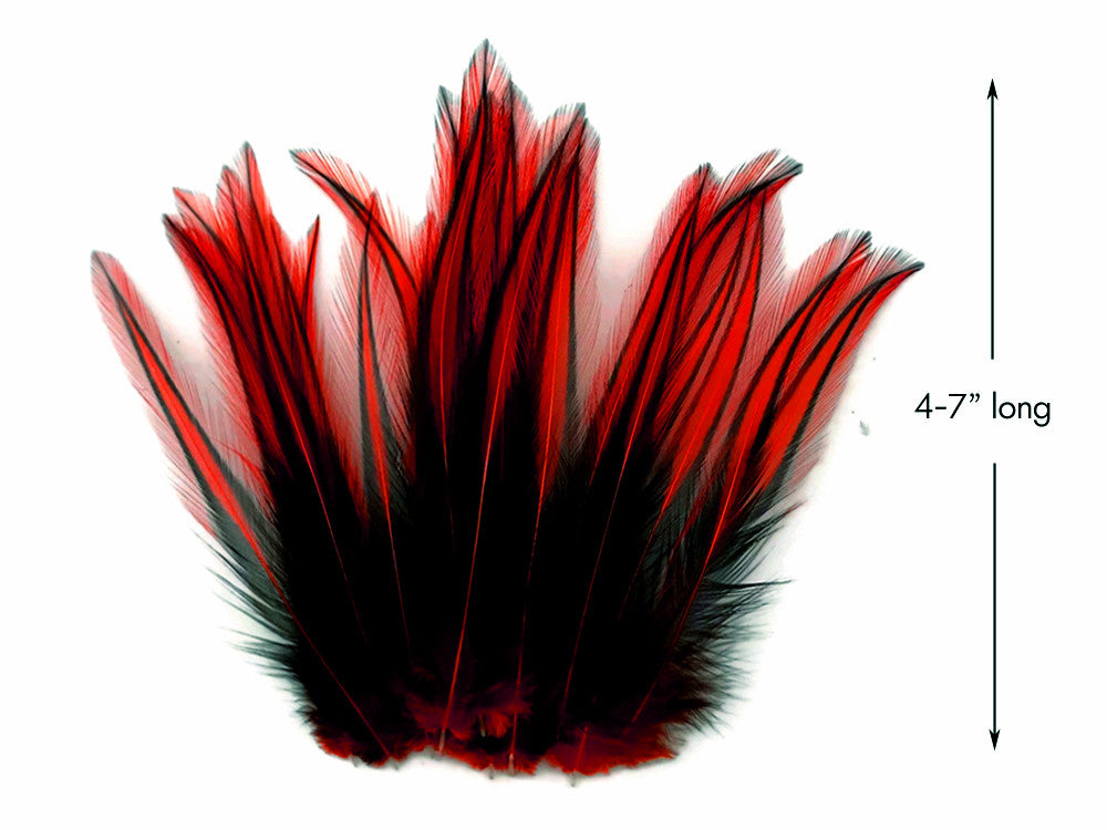 10 Pieces - Red Dyed BLW Laced Long Rooster Cape Whiting Farms Feathers