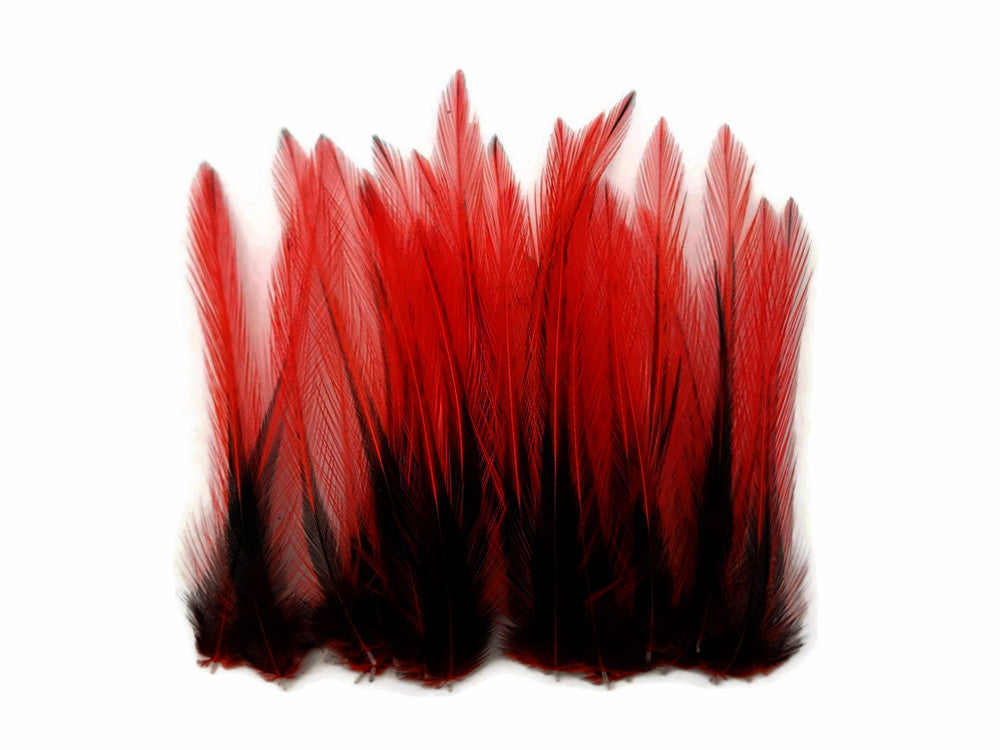 10 Pieces - Red Dyed BLW Laced Short Rooster Cape Whiting Farms Feathers