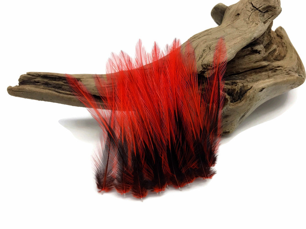 10 Pieces - Red Dyed BLW Laced Short Rooster Cape Whiting Farms Feathers