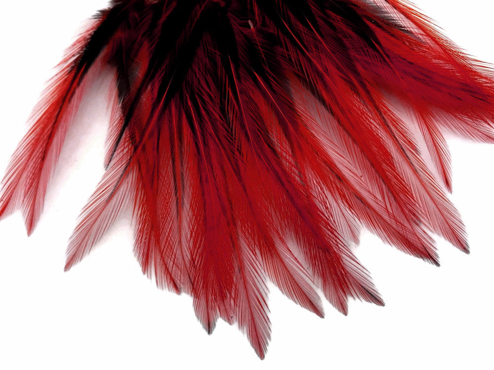 10 Pieces - Red Dyed BLW Laced Short Rooster Cape Whiting Farms Feathers