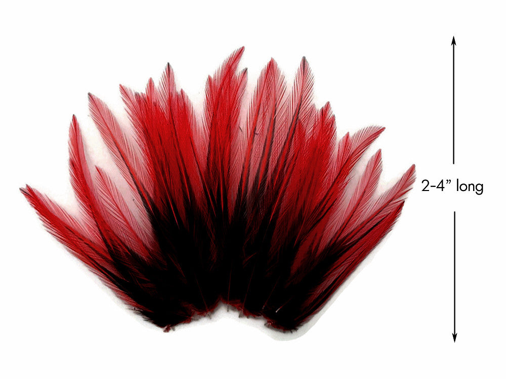 10 Pieces - Red Dyed BLW Laced Short Rooster Cape Whiting Farms Feathers