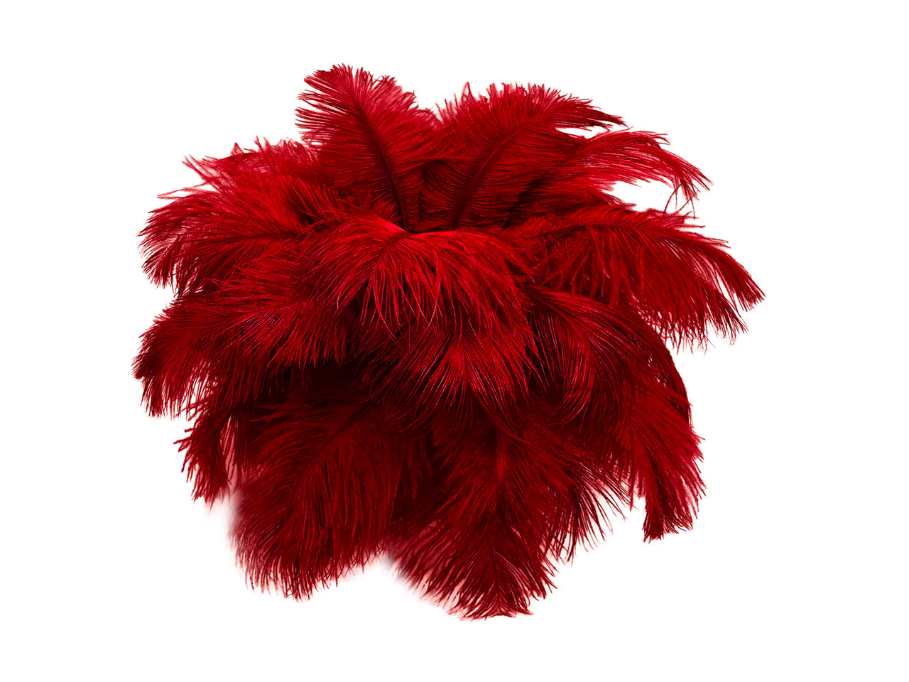 10 Pieces - 6-8" Red Ostrich Dyed Drabs Body Feathers