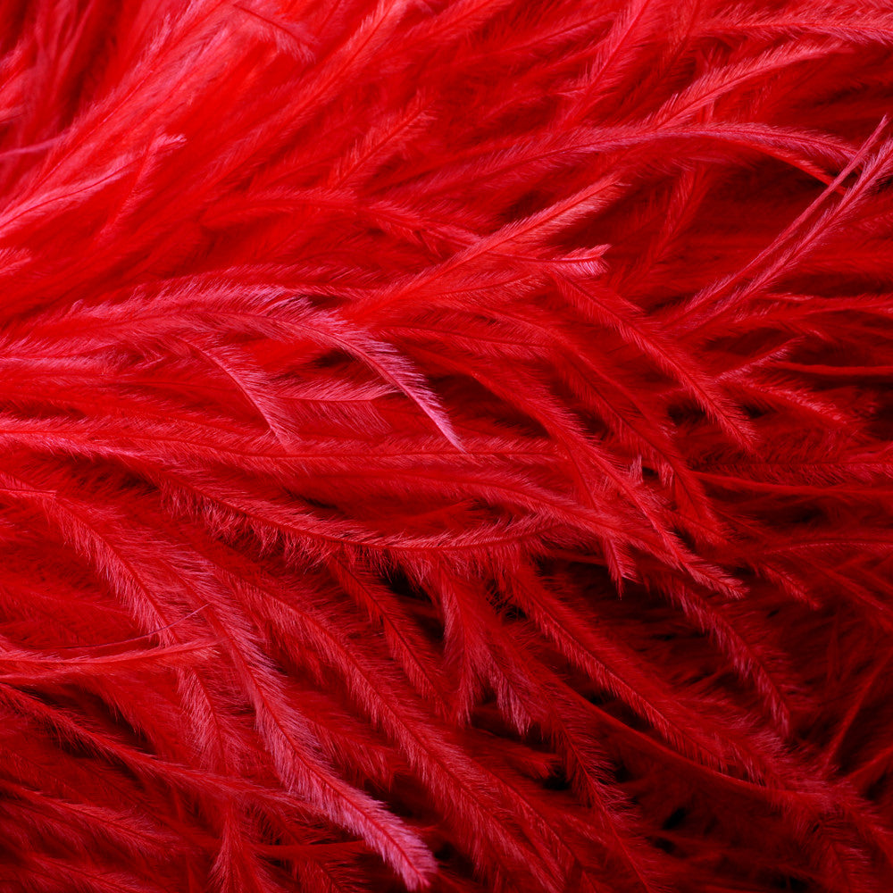 10 Pieces - 6-8" Red Ostrich Dyed Drabs Body Feathers