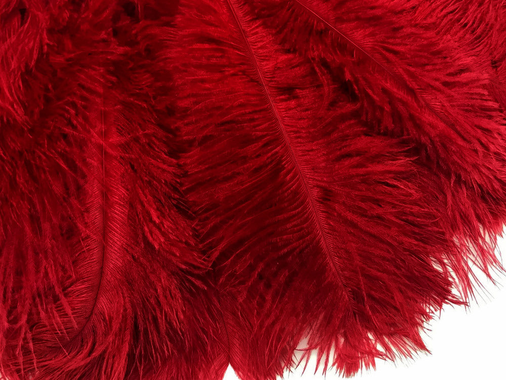 100 Pieces - 11-13" Red Ostrich Drabs Wholesale Body Feathers (Bulk)