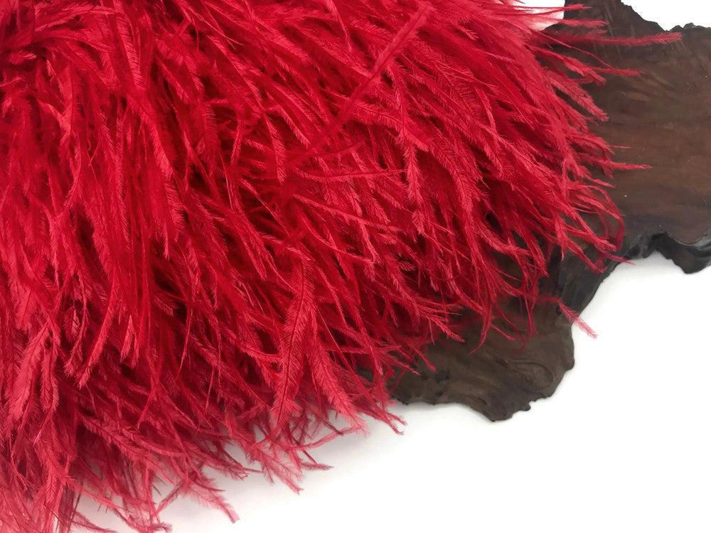 6 Inch Strip - Red Ostrich Fringe Trim Feather