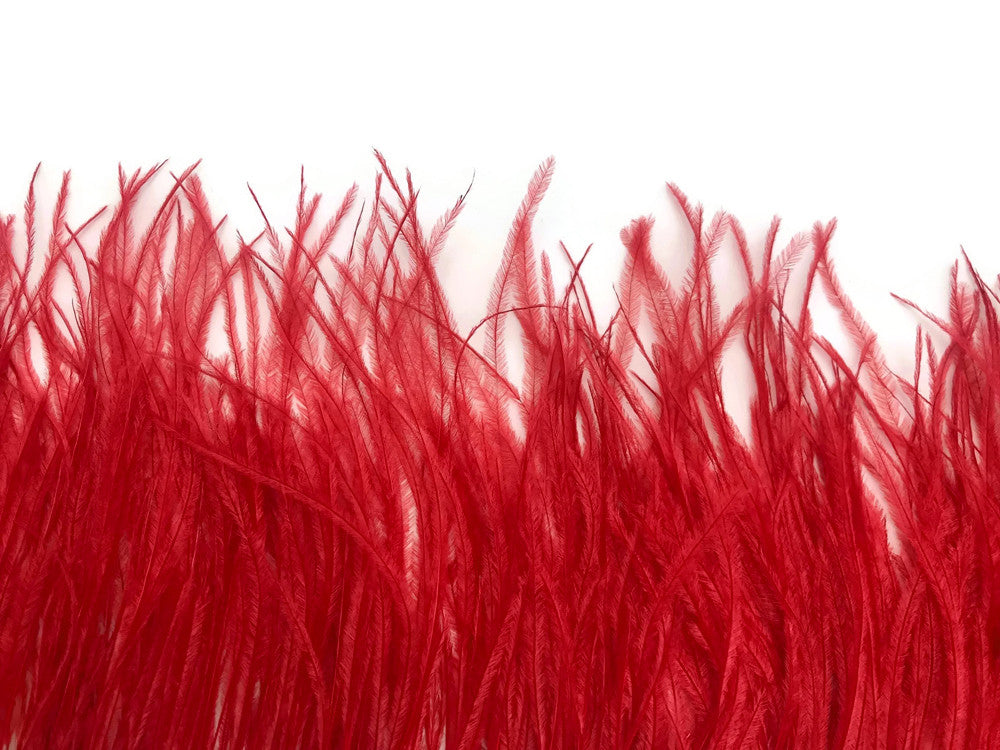 6 Inch Strip - Red Ostrich Fringe Trim Feather