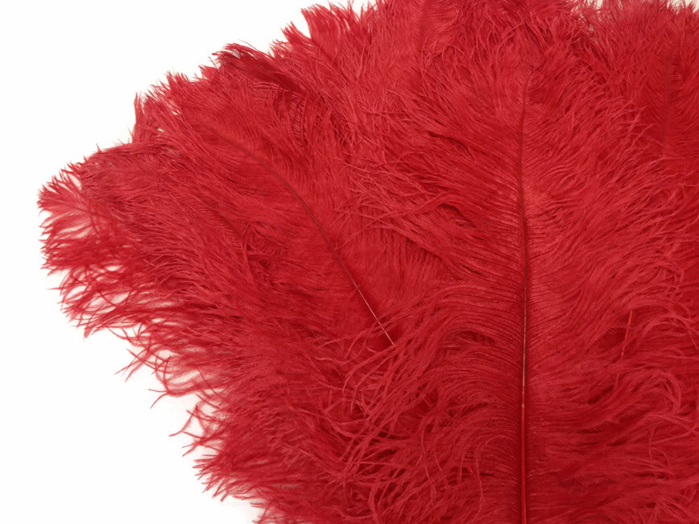 1/2 Lb. - 18-24" Red Large Ostrich Wing Plume Wholesale Feathers (Bulk)
