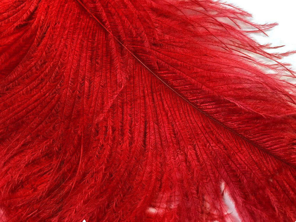 1/2 Lb. - 18-24" Red Large Ostrich Wing Plume Wholesale Feathers (Bulk)