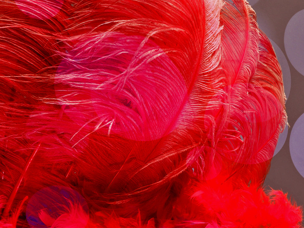 1/2 Lb. - 25-29" Red Large Ostrich Wing Plume Wholesale Feathers (Bulk) 
