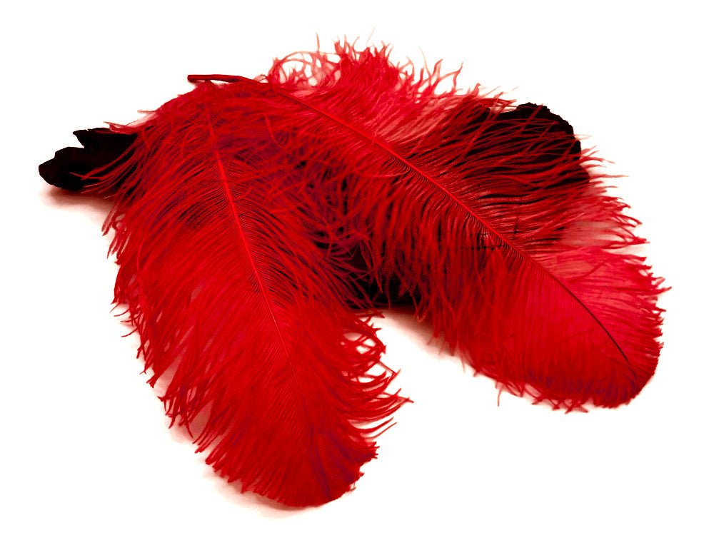 1/2 Lb. - 18-24" Red Large Ostrich Wing Plume Wholesale Feathers (Bulk)