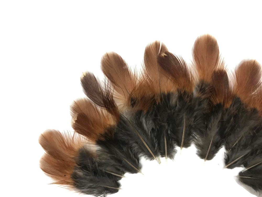 10 Pieces - Natural Red and Black Partridge Plumage Feathers