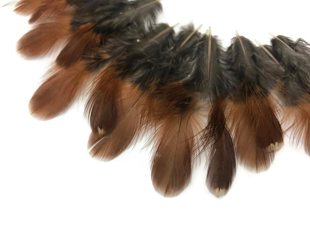 10 Pieces - Natural Red and Black Partridge Plumage Feathers