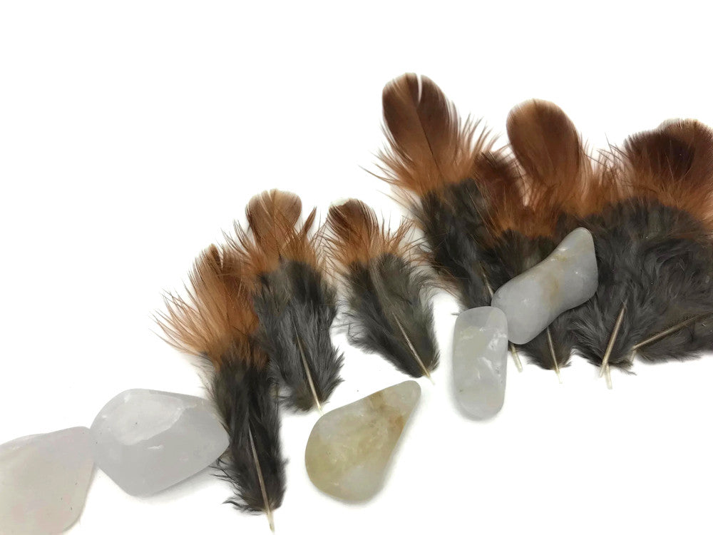 10 Pieces - Natural Red and Black Partridge Plumage Feathers