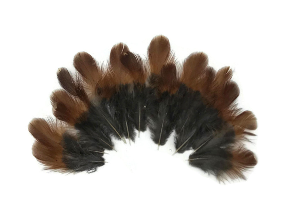 10 Pieces - Natural Red and Black Partridge Plumage Feathers