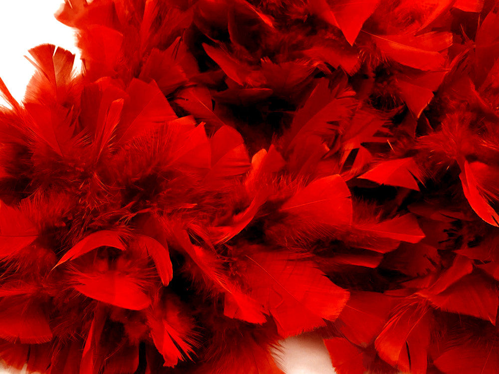 2 Yards - Red Heavy Weight Turkey Flat Feather Boa, 150 Gram