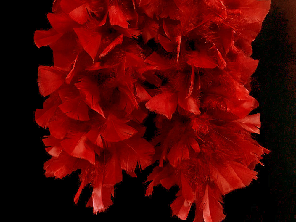 2 Yards - Red Heavy Weight Turkey Flat Feather Boa, 150 Gram