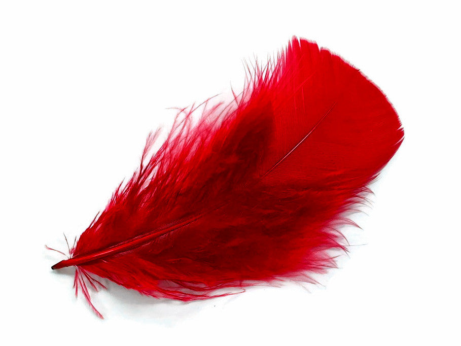 1 Pack - Red Dyed Turkey T-Base triangle Body Plumage Feathers 0.50 Oz.