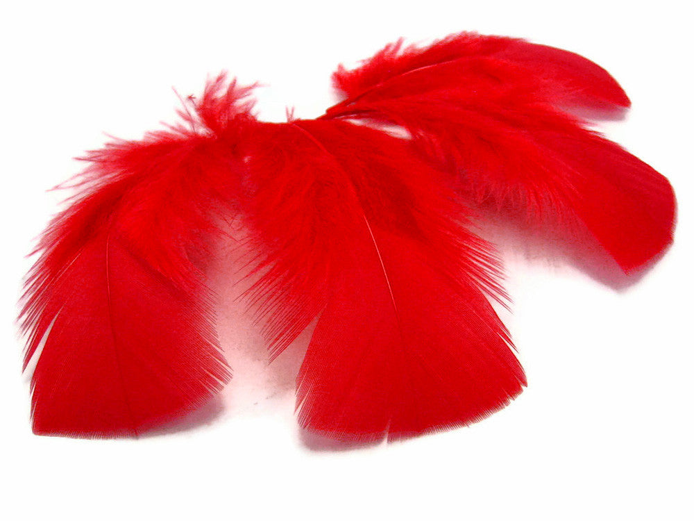 1 Pack - Red Dyed Turkey T-Base triangle Body Plumage Feathers 0.50 Oz.