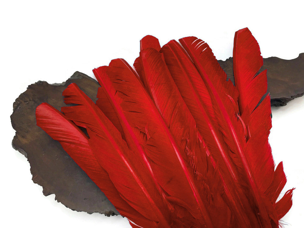 1/4 Lb - Red Turkey Pointers Primary Wing Quill Large Wholesale Feathers (Bulk)