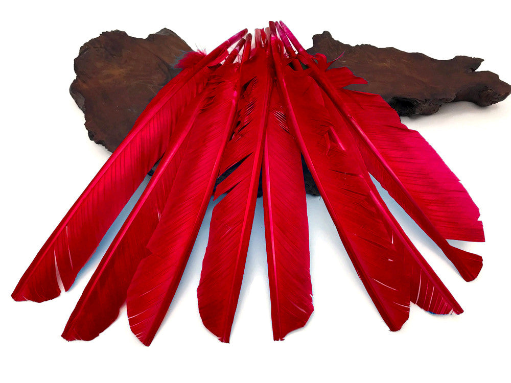 6 Pieces - Red Turkey Pointers Primary Wing Quill Large Feathers