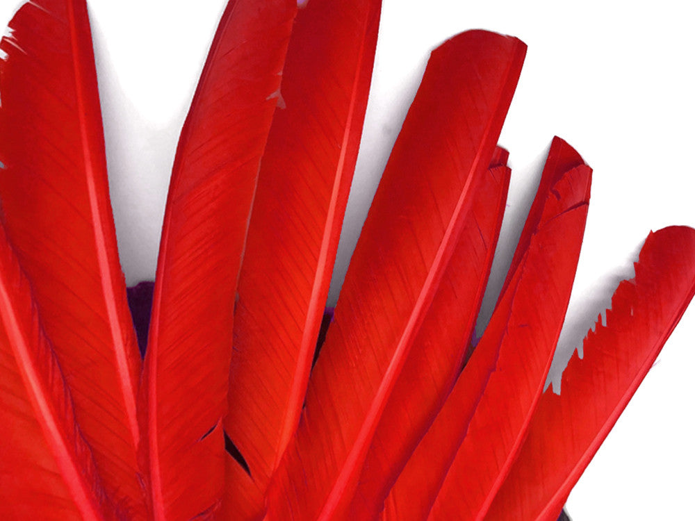 1/4 Lb - Red Turkey Pointers Primary Wing Quill Large Wholesale Feathers (Bulk)