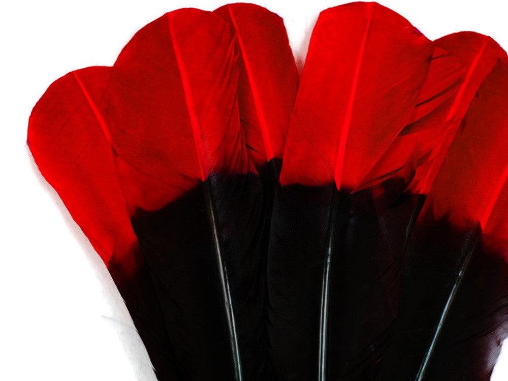 6 Pieces - Red & Black Two Tone Turkey Rounds Tom Wing Secondary Quill Feathers