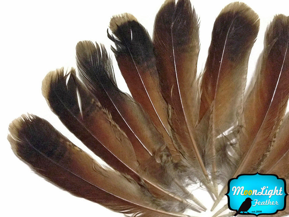 10 Pieces - Natural Red and Black Partridge Wing Feathers