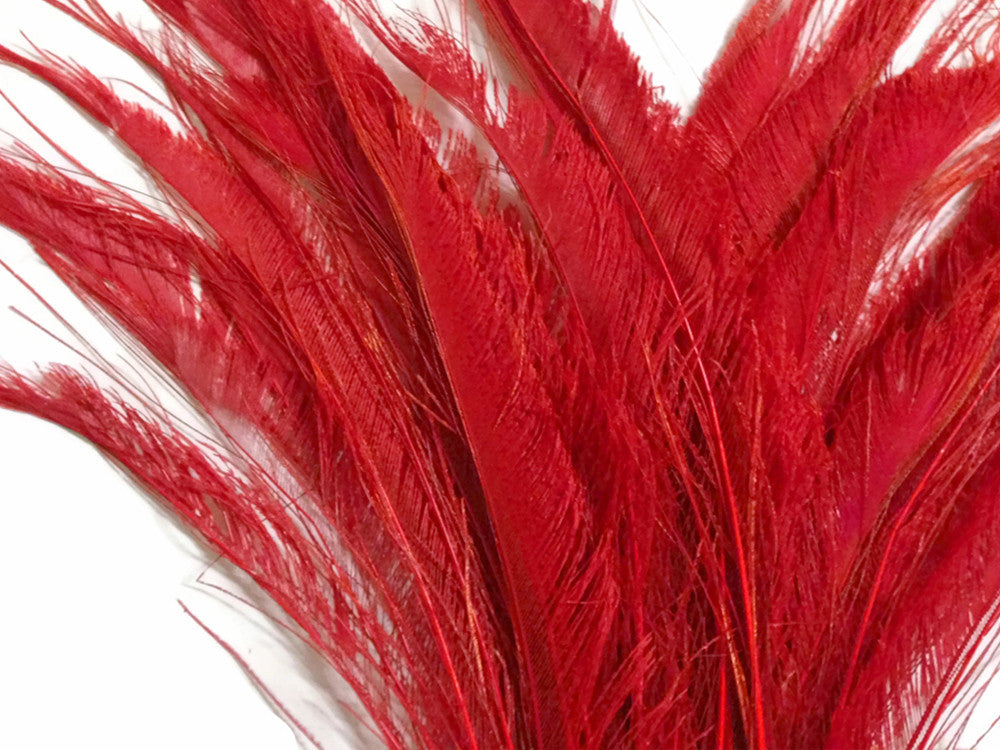 50 Pieces - Red Bleached Peacock Swords Cut Wholesale Feathers (Bulk)