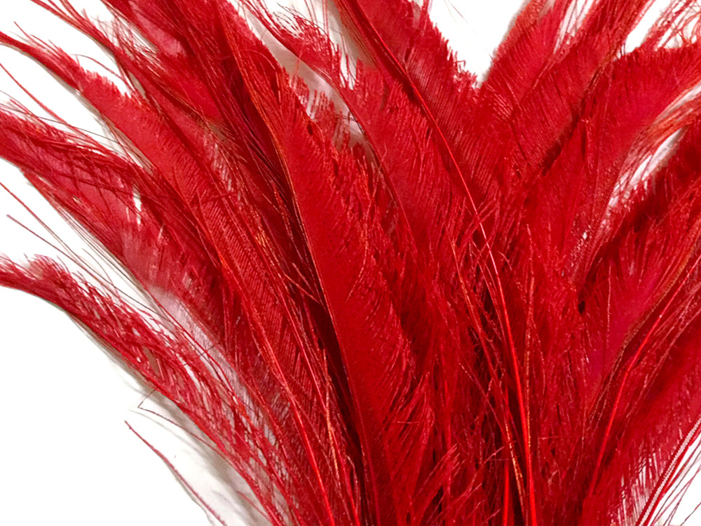5 Pieces - 10-12" Red Bleached & Dyed Peacock Swords Cut Feathers