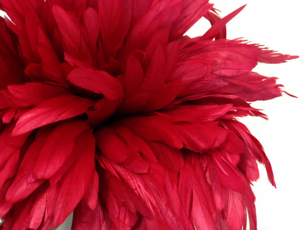 2.5  Inch Strip -  8-10" Red Strung Natural Bleach & Dyed Coque Tails Feathers