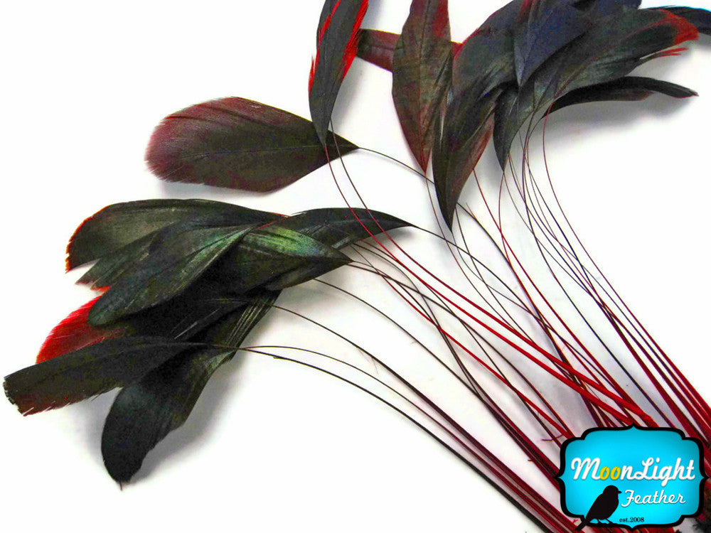 1 Dozen - Red Bronze Stripped Rooster Coque Tail Feathers