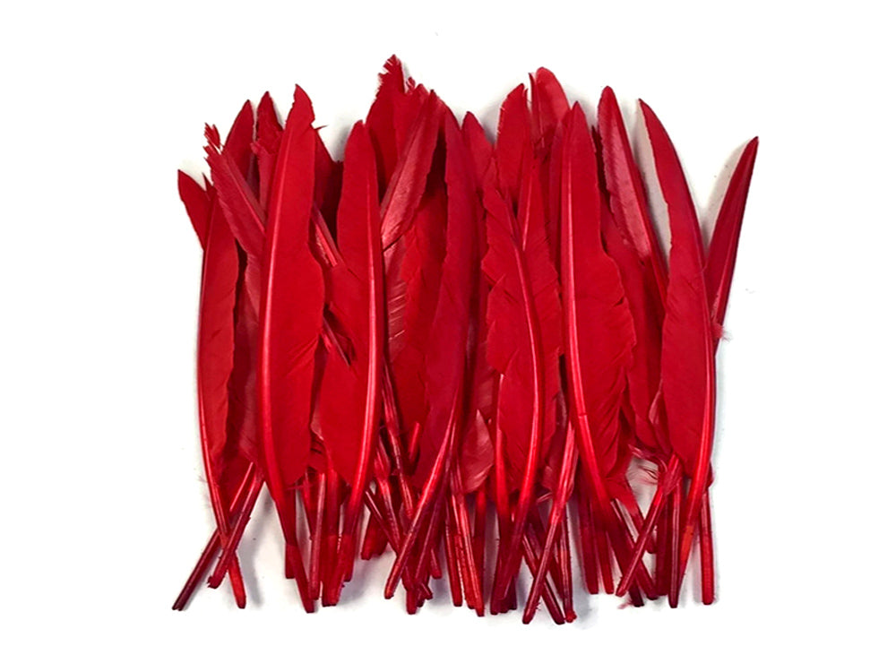 1/4 lbs. - Red Duck Pointer Primary Wing Wholesale Feathers (Bulk)