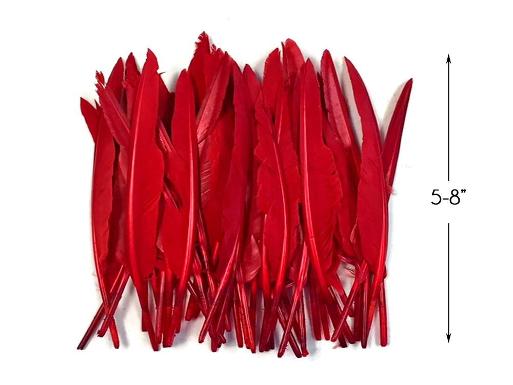 1/4 lbs. - Red Duck Pointer Primary Wing Wholesale Feathers (Bulk)