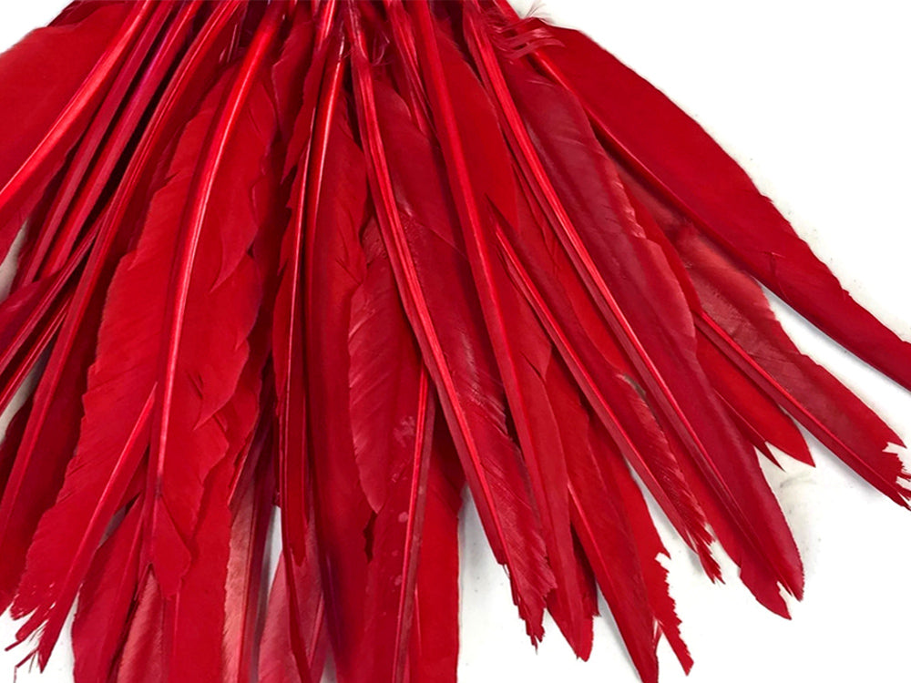 1 Pack - Red Duck Primary Wing Pointer Feathers 0.50 Oz.