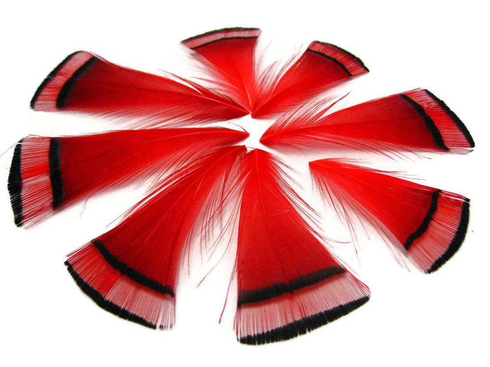 1 Dozen - Red Dyed Golden Pheasant Tippet Neck Plumage Feather
