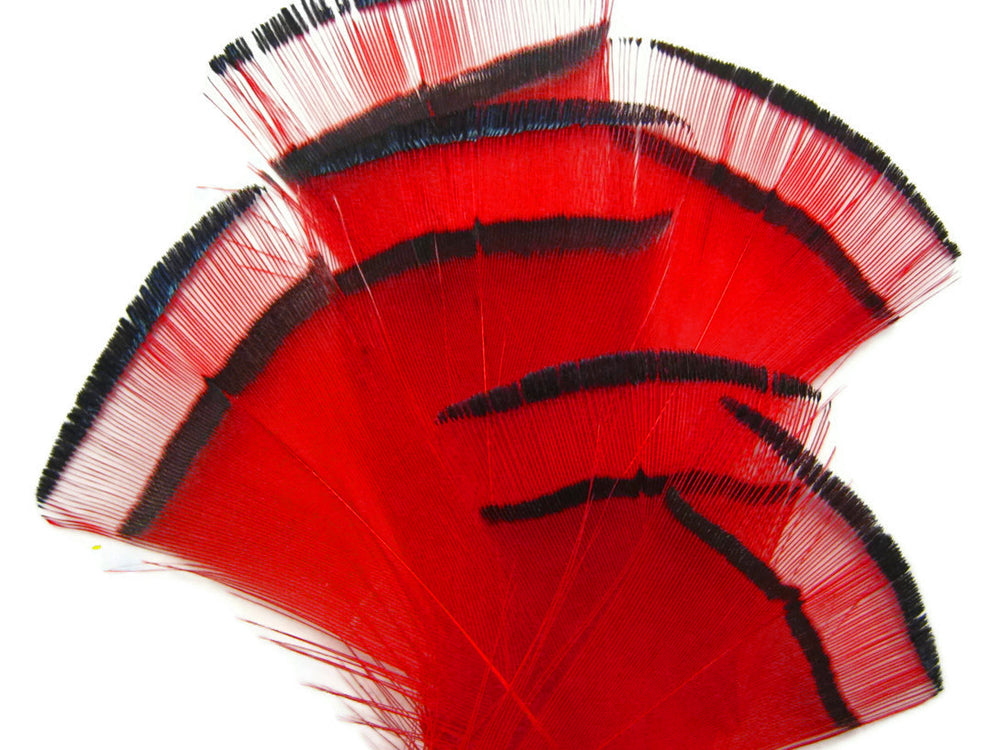 1 Dozen - Red Dyed Golden Pheasant Tippet Neck Plumage Feather