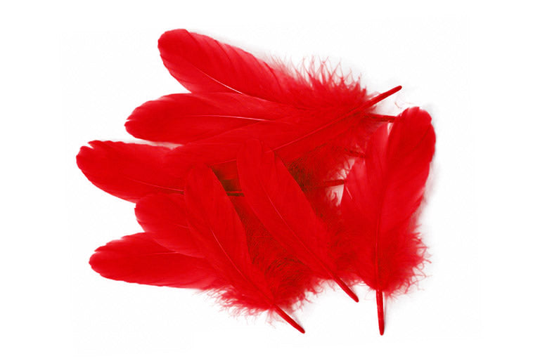 1/4 lbs. - Red Goose Satinettes Pallet Soft Wing Quill Wholesale Feathers (Bulk)