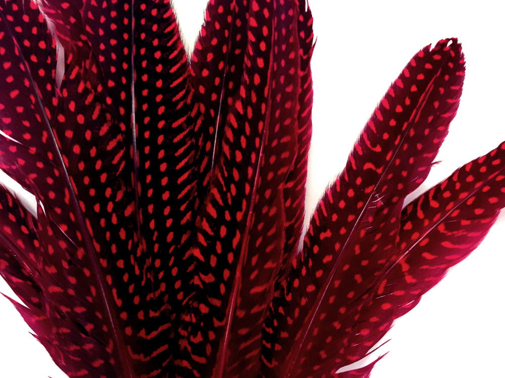 10 Pieces - Dyed Red Polka Dot Guinea Fowl Wing Quill Feathers