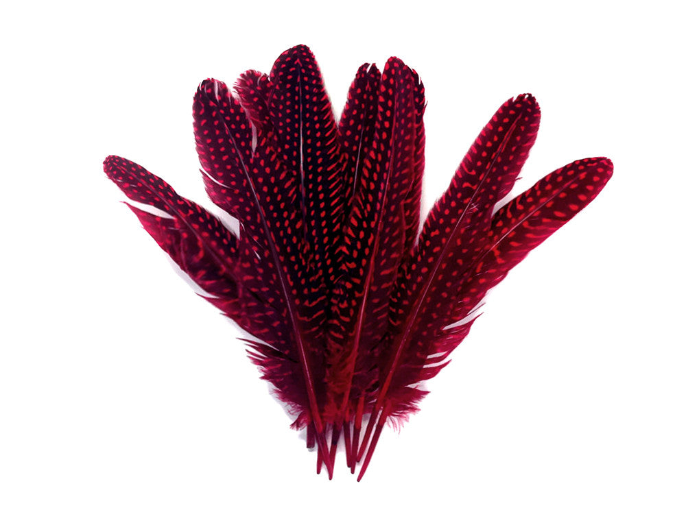 1/8 lb. Red Polka Dot Guinea Fowl Wing Quills Wholesale Feathers (Bulk)